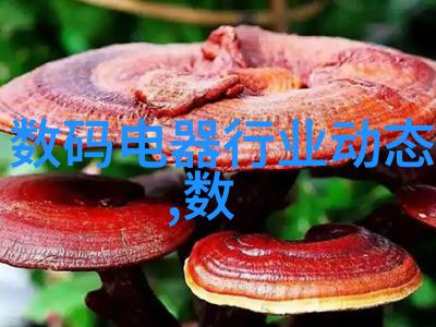 无忌摄影论坛探秘捕捉光影的艺术世界