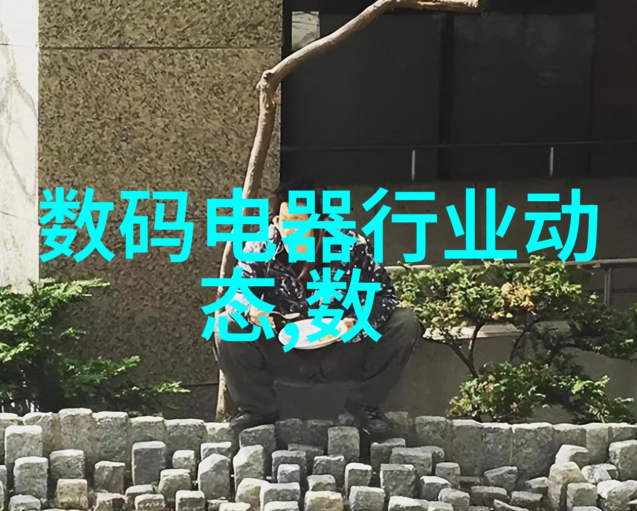 兔狗家装从温馨小屋到豪华别墅的奇幻变身