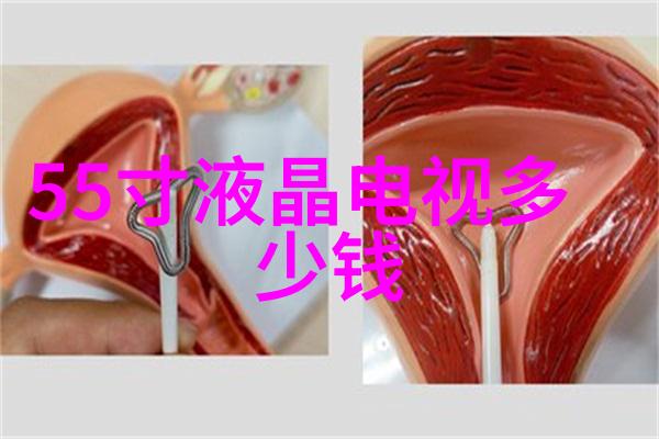 电冰箱温度调节原理与实践指南提高家用冷藏设备效率的策略研究