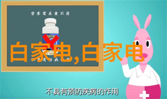 大连财经学院财经学科的东方之光与创新驱动的未来