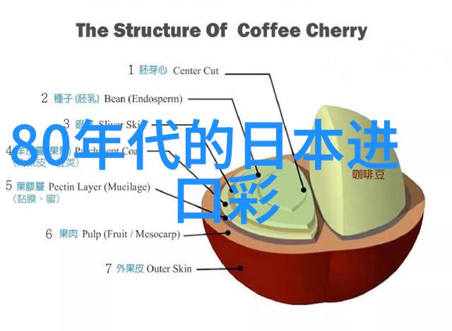 应用市场官方下载最新版本追逐软件风潮的智者