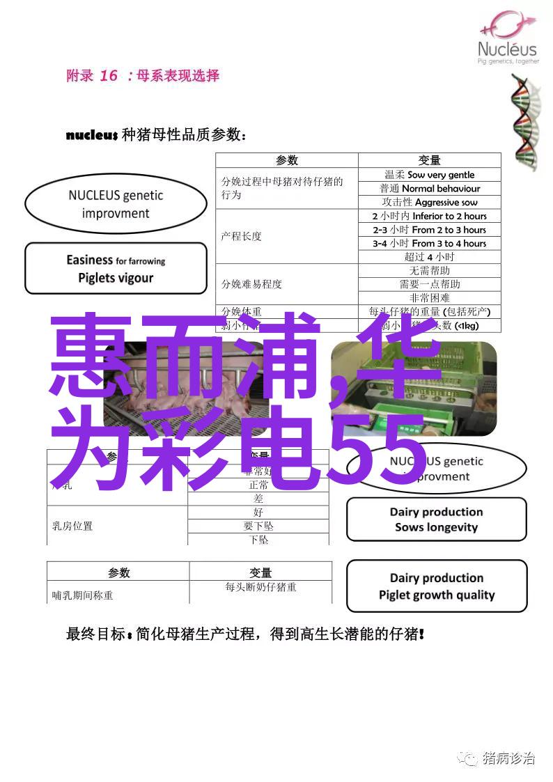 在有限空间中怎样设计一个既实用又舒适的小型庭院