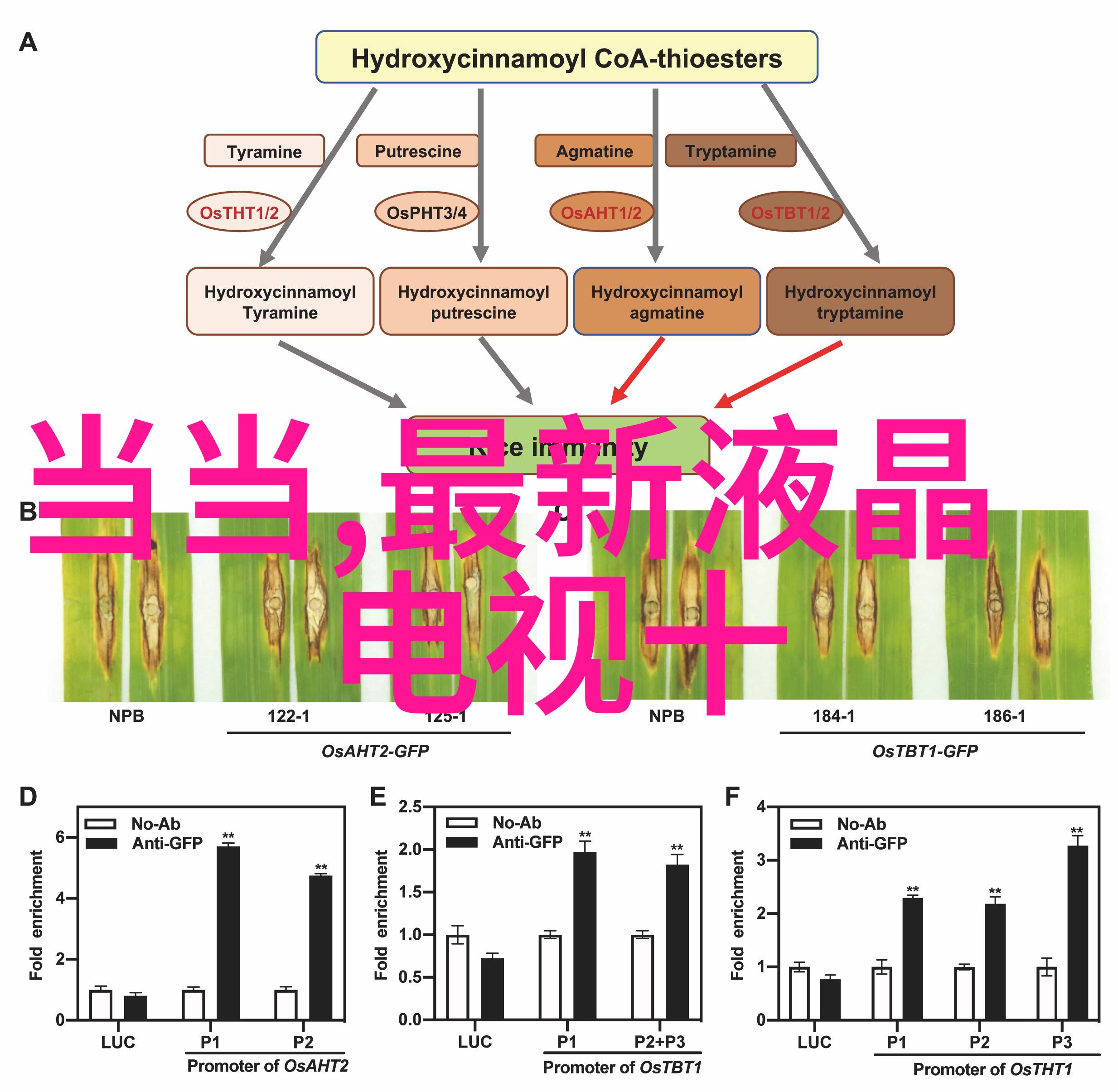 江西财经大学蜕变中的经济学术重镇