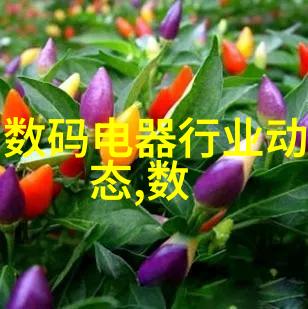 老师送什么花-老师的心意之花解读不同花卉的意义