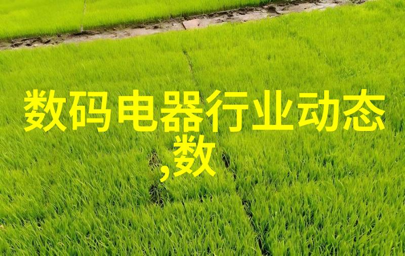 送老师什么花-心意相连挑选适合老师的最佳花卉