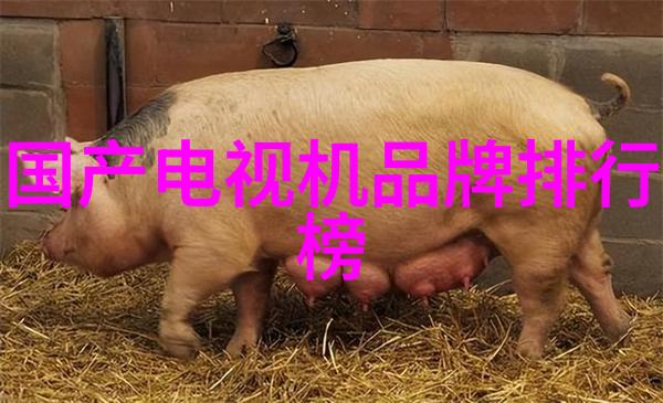 培养未来人才嵌入式学习在职业教育中的应用