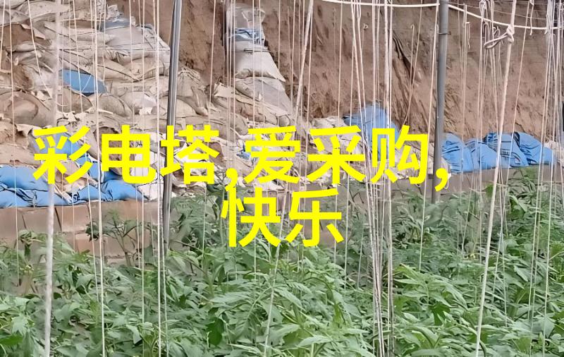 探索中国摄影旅游网一站式体验大国之美