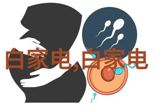 装修逆袭从废墟到豪宅的奇迹变革