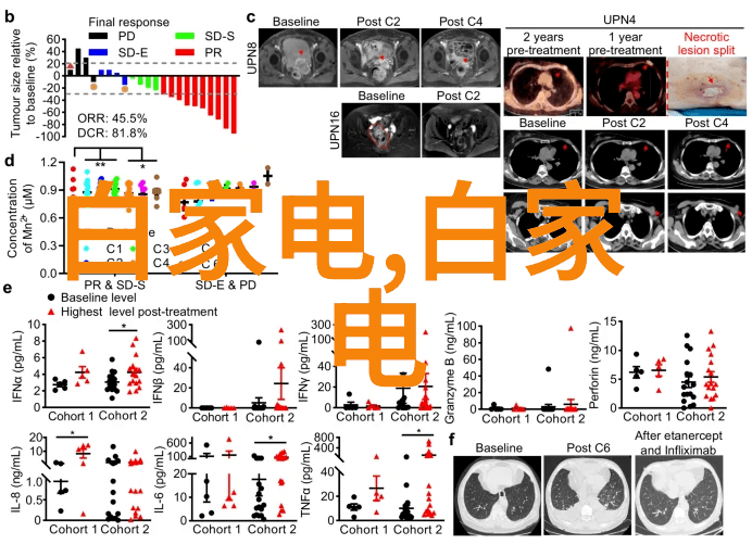 公司设计装修40平米旧房子乡村风格改造创造个性化私密空间