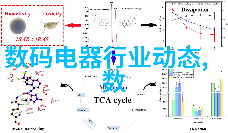 大鸟的男人翱翔在自由之翼上的故事