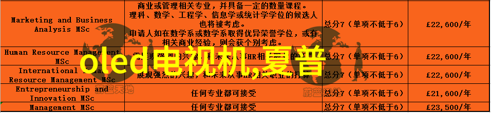 家居装修攻略从规划到完工的详细顺序流程指南