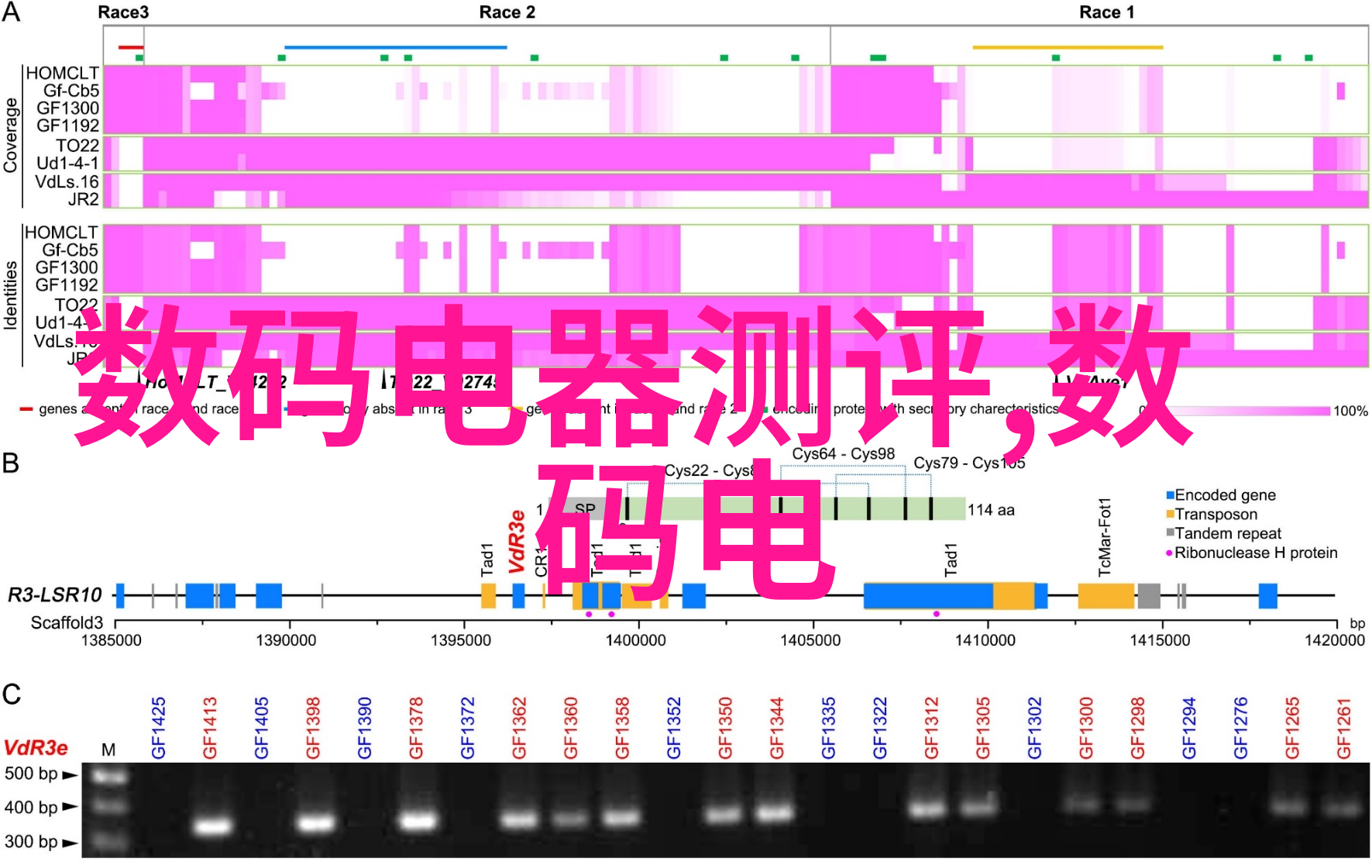 家居美学全解析2021年新颖客厅装修风格大集合