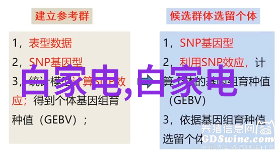 小窍门大效应DIY装修让家居美观省钱