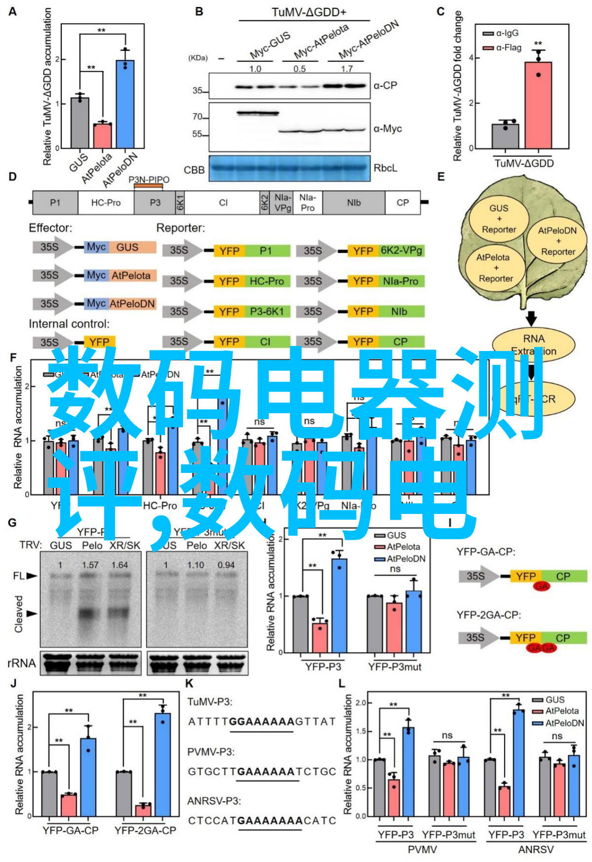 医院水处理设备-清洁与安全医院水处理设备的重要性与选择标准