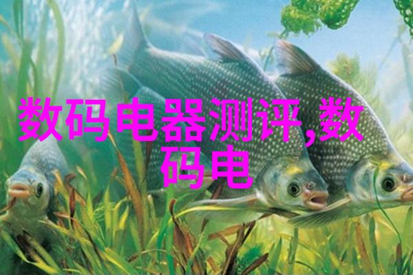 DIY反光板是不是一个经济实惠的创意方案