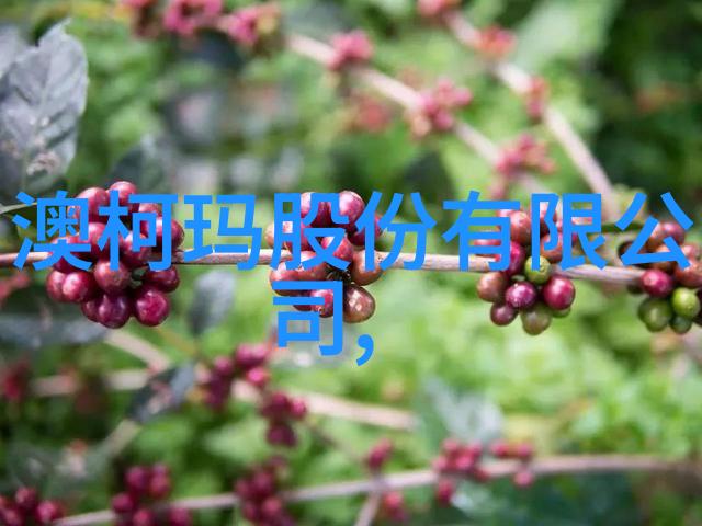 PE料型号大全全面解析聚乙烯材料的各种标准与应用