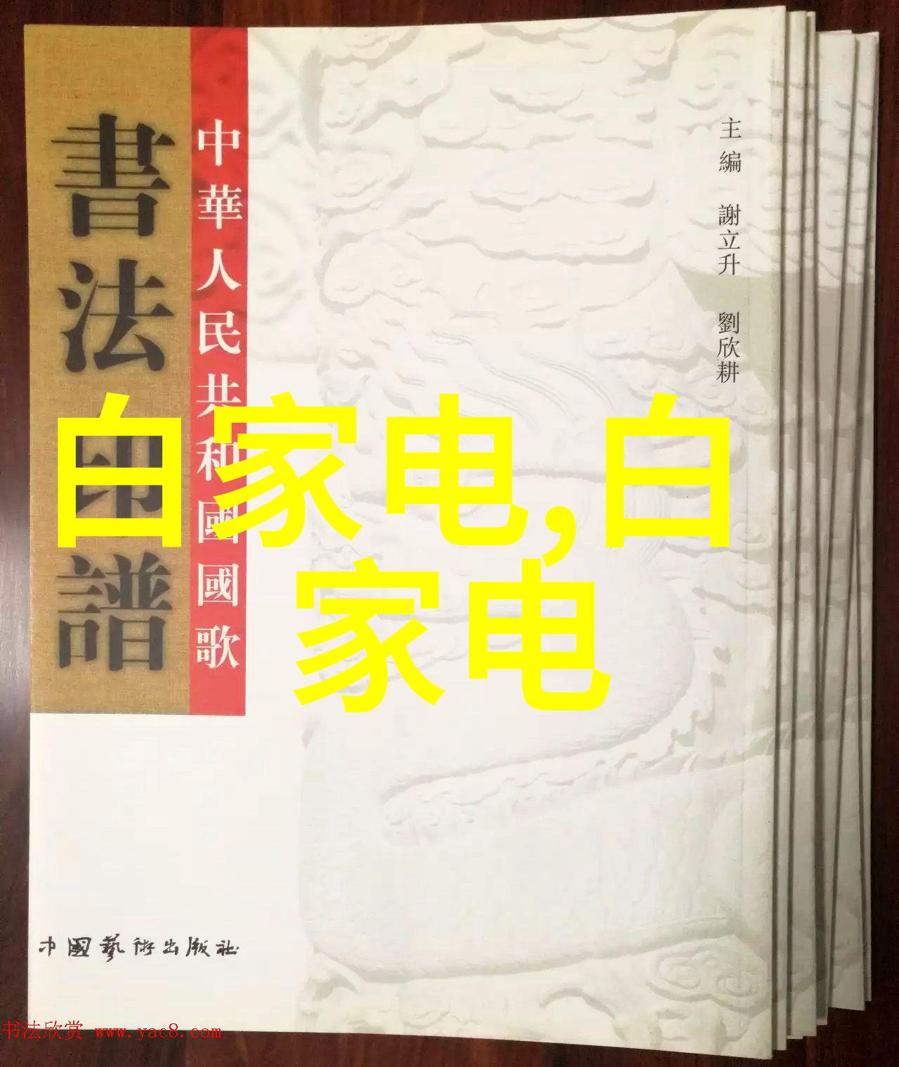 小蓝视频GARY2023入口探秘解锁新内容创作世界