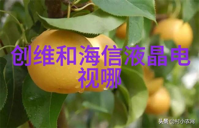 沐风网捕捉生活每一缕温柔的微信社群故事