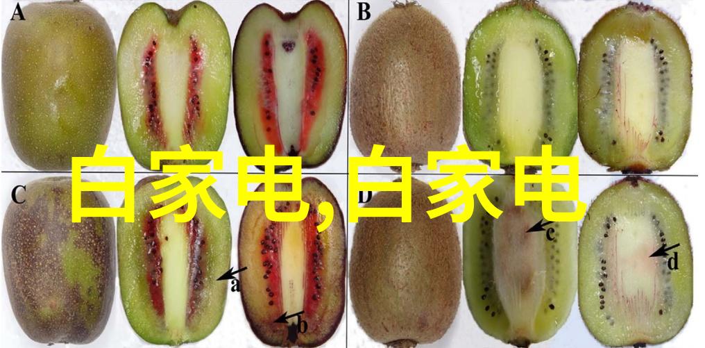 水利水电工程技术与实践探究