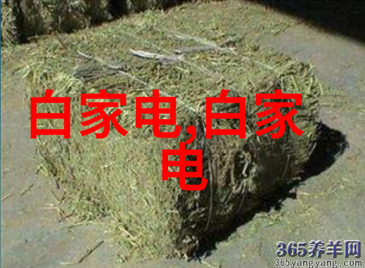 房屋装修设计图中哪些细节能决定整个空间的品味与功能