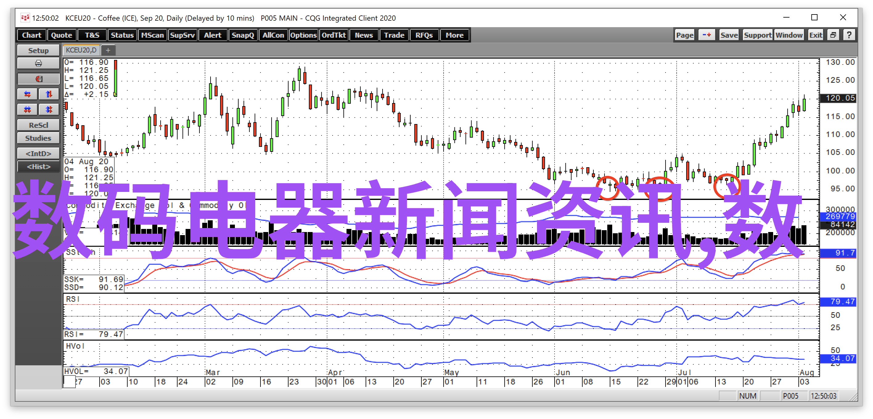 从事水力发电项目的女性专业人员职业规划建议