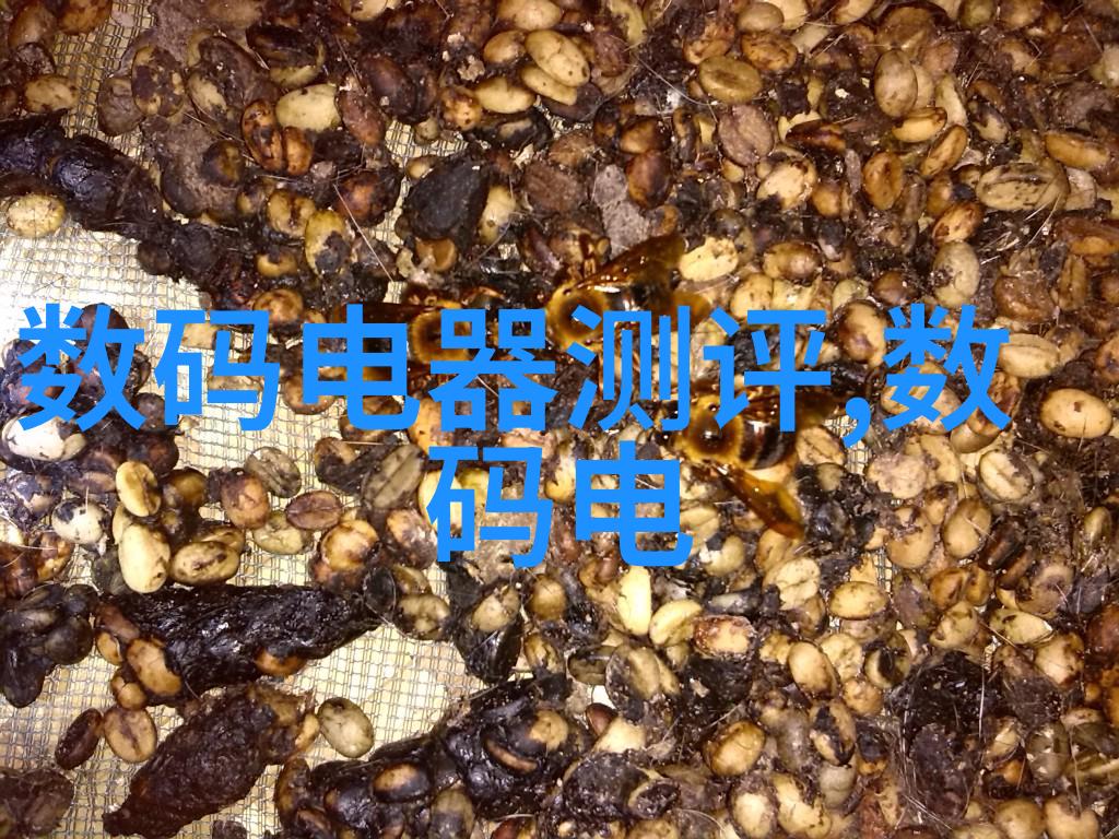 尼康d300s镜头的诗篇