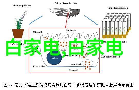 苏州大学应用技术学院创新之翼下的梦想飞翔