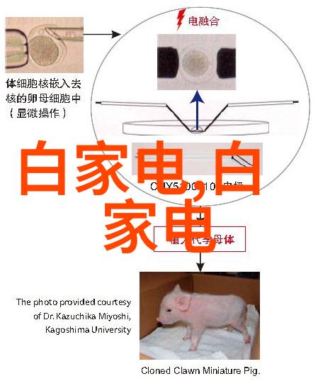 波多野结衣119分钟 - 约会的温柔时间限制