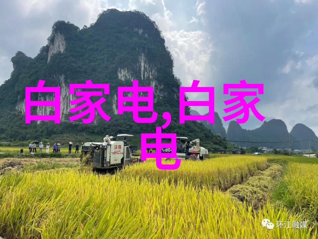 家居装饰-温馨庭院玻璃雨棚的设计与魅力