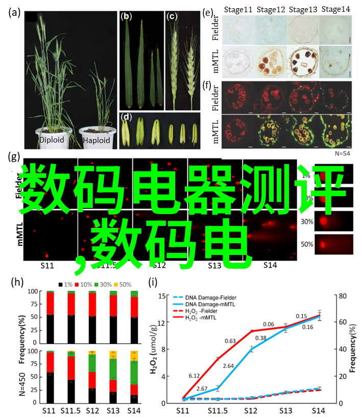 小卧室装修效果图大全2013图片精美空间设计创意家居布局温馨舒适生活