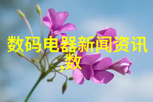 木瓜之谜解锁中字限量版的秘密