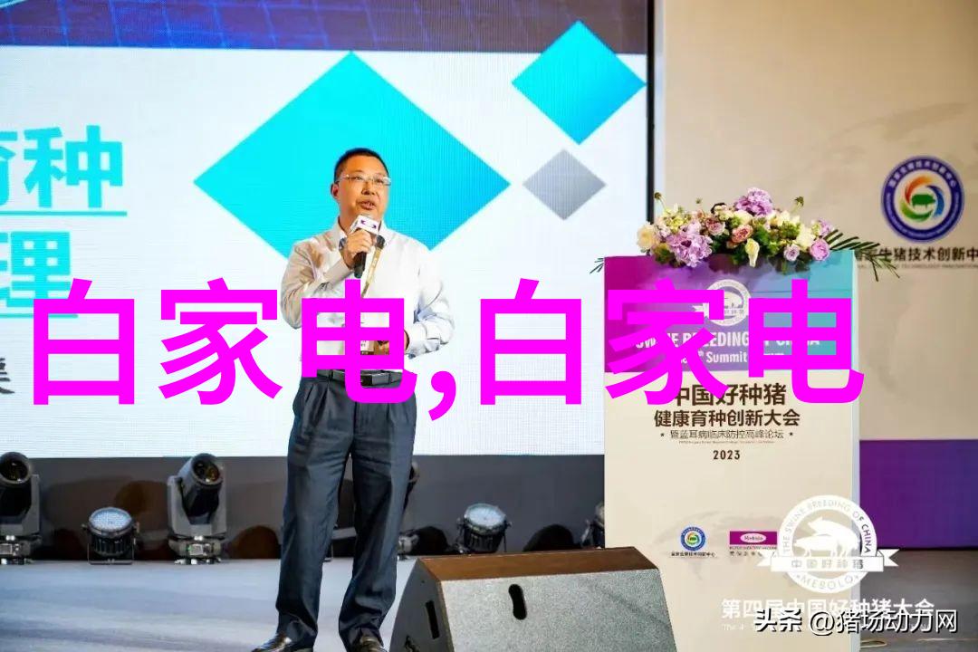 家庭娱乐区创造者多功能性强的流行客户端介绍