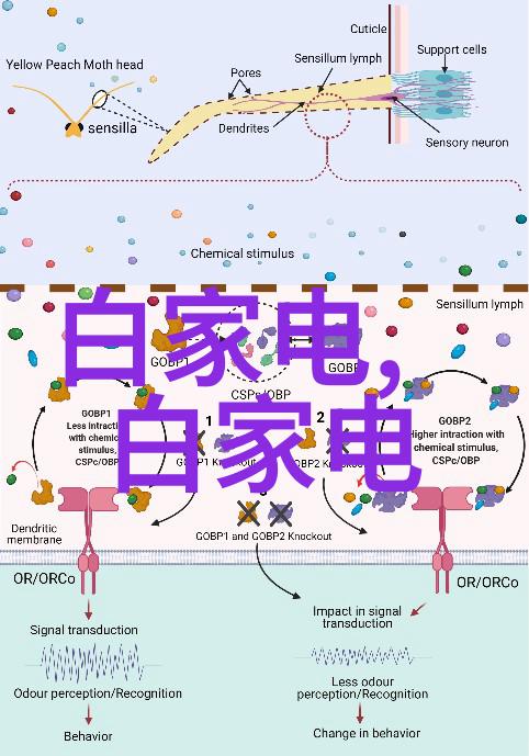 家居美学我来给你看看这次客厅装修效果图大全图片吧