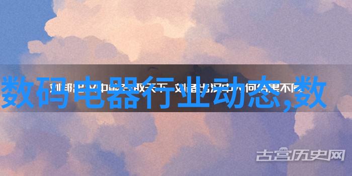 山东财经大学在校内外师资力量如何配置以及他们的教学特点是什么