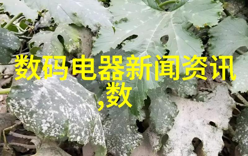 欧式人像摄影我与那古典镜头的对话探索欧式人像摄影的魅力