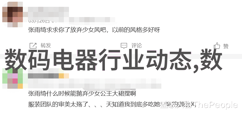 中国摄影和中国摄影家 - 镜头中的华夏探索中国摄影艺术与其杰出代表