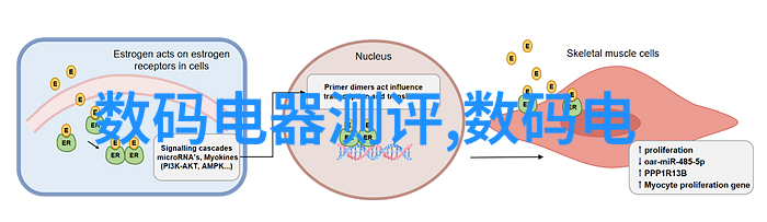 智能家居配件小型污水处理一体化设备介绍