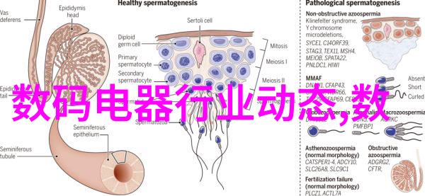 在不同气候条件下丙纶防水卷材是否仍能保持性能