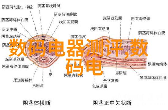 北京防水补漏确保京城建筑安全与美观