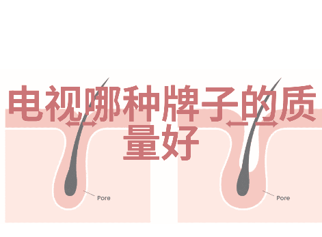 湖北科技学院-探索未来湖北科技学院的创新与发展