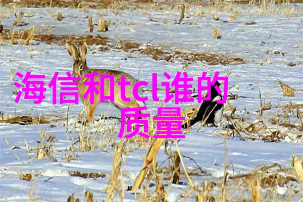 环保材料使用率在临沂装修中有多重要