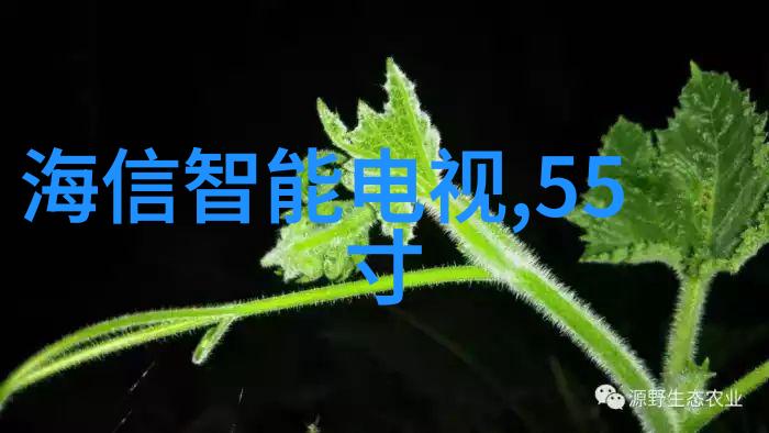 液体净化之器探秘压滤机的神奇世界