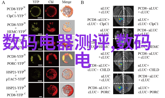 超薄型墙壁式机组在重慶室内外装修中的应用实例