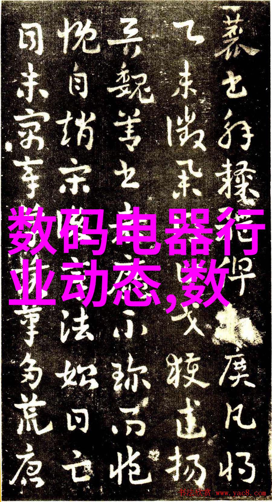 2021年全国摄影大赛参赛官网我要成为那张获奖照的幕后英雄