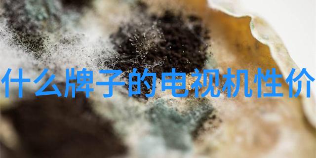 揭秘仪器测试精确度与可靠性的双重追求