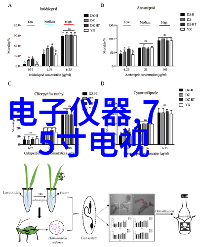 官方摄影记录历史的镜头官方视角下的艺术与真实