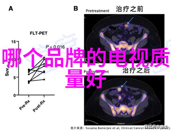 嵌入式系统开发与传统软件开发的区别探究嵌入式系统设计与软件工程方法对比分析