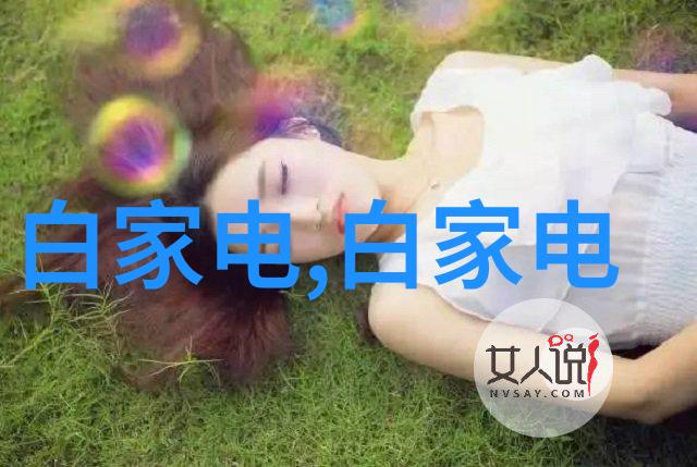 初学者买单反还是微单相机选择的智慧之旅