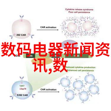 网波纹填料轻盈时尚的装饰新贵