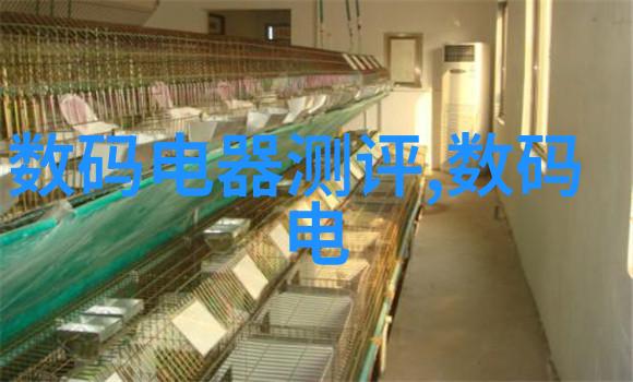 揭示与展示探索exposition在文学艺术与科学中的多重面貌